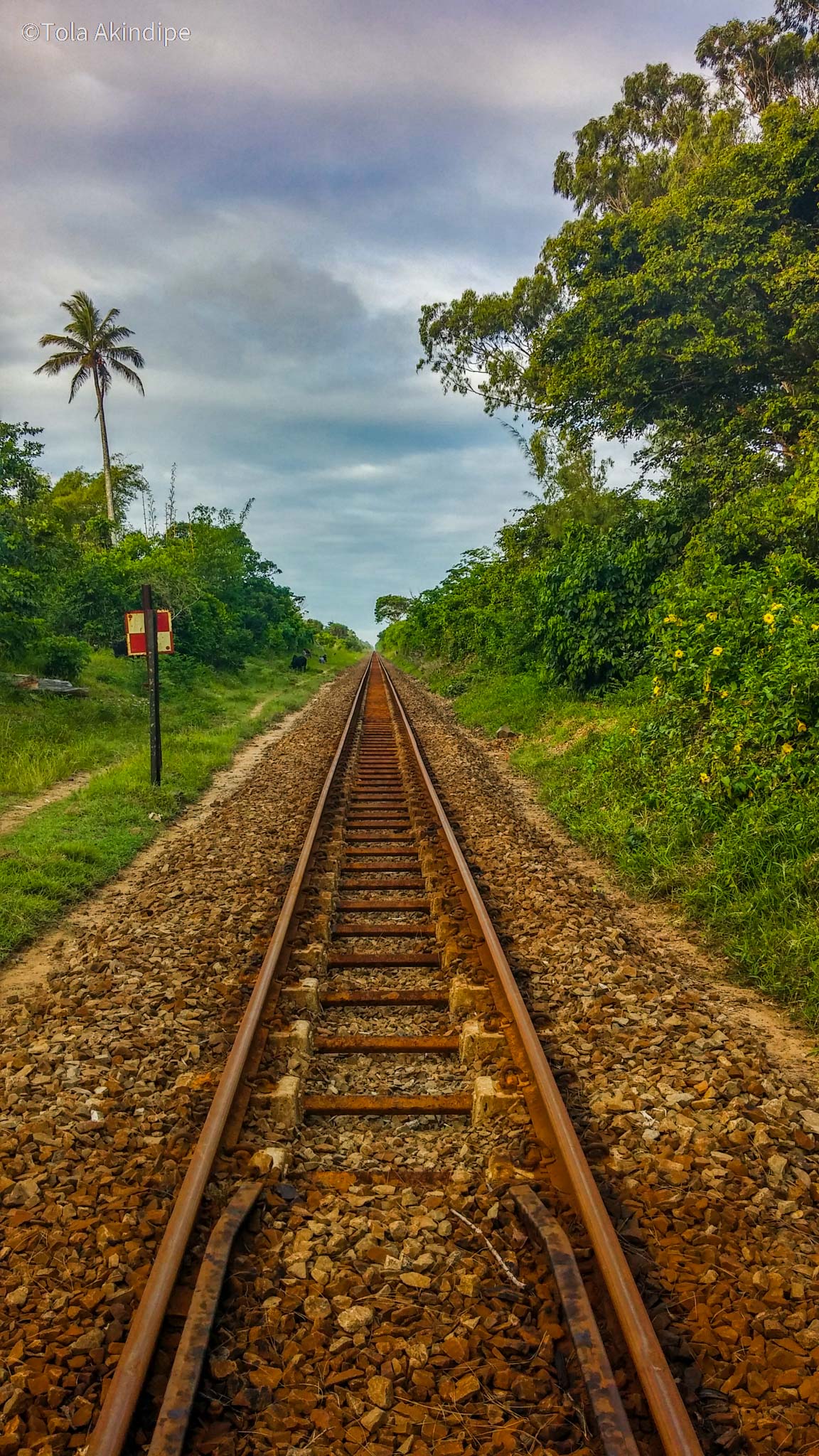 Madagascar Abandoned Rail